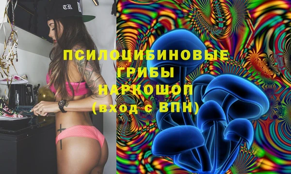 дурь Верхний Тагил