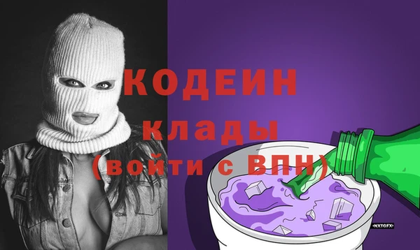 гидра Бородино