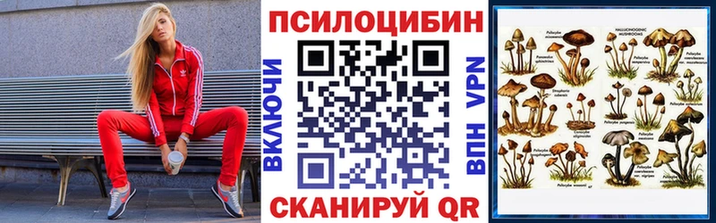 MEGA ССЫЛКА  Камызяк  Псилоцибиновые грибы мухоморы 